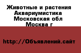 Животные и растения Аквариумистика. Московская обл.,Москва г.